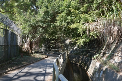 R04_8389.jpg