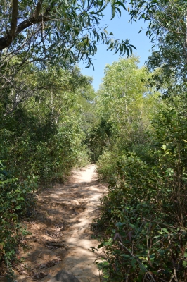 R04_8402.jpg