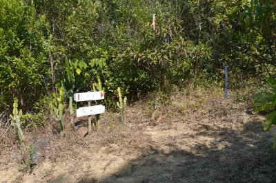 R04_8404.jpg