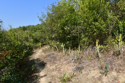 R04_8405.jpg