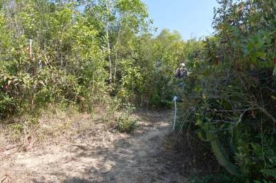 R04_8406.jpg