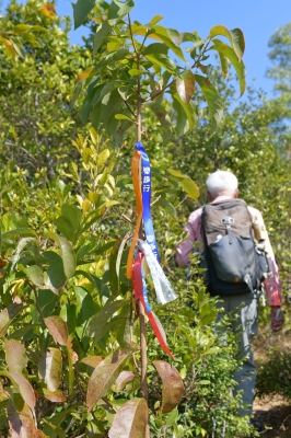 R04_8408.jpg