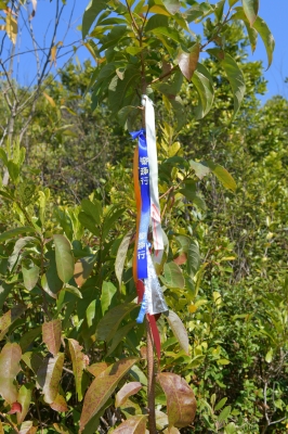 R04_8409.jpg