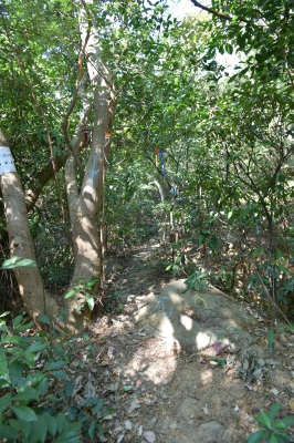 R04_8414.jpg