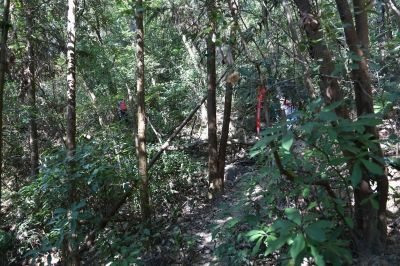 R04_8416.jpg