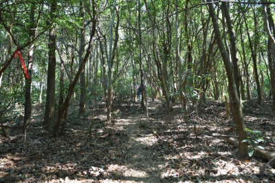 R04_8419.jpg