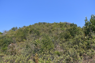 R04_8425.jpg