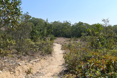 R04_8442.jpg
