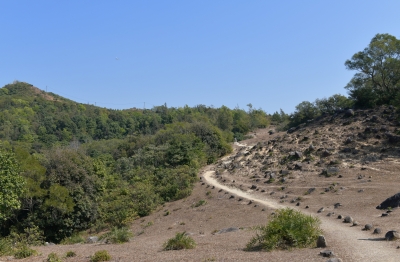 R04_8445.jpg