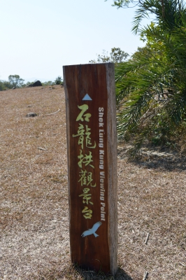 R04_8446.jpg
