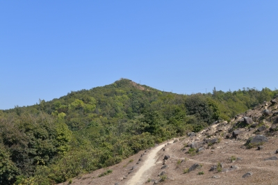 R04_8447.jpg