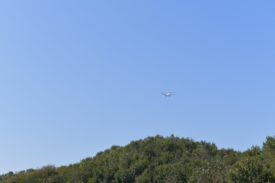 R04_8451.jpg
