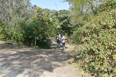 R04_8466.jpg