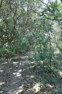 R04_8479.jpg