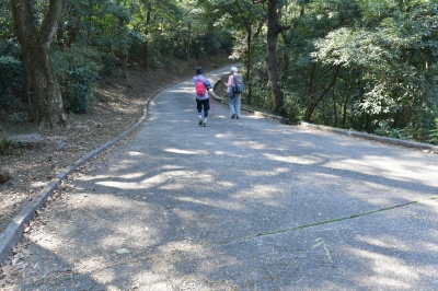 R04_8495.jpg