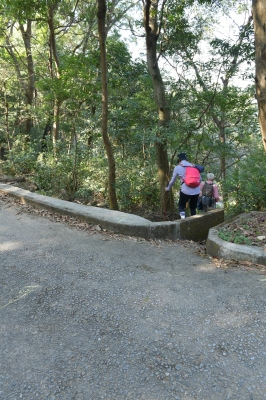 R04_8496.jpg