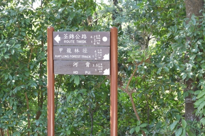 R04_8499.jpg