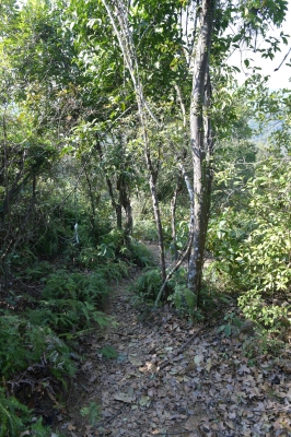 R04_8501.jpg