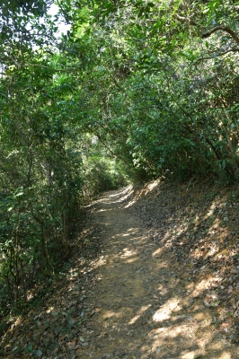 R04_8504.jpg