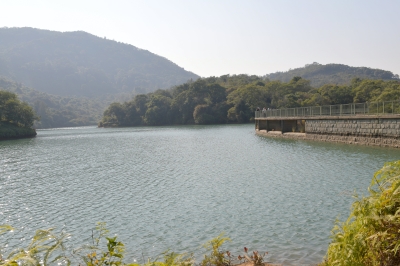 R04_8514.jpg