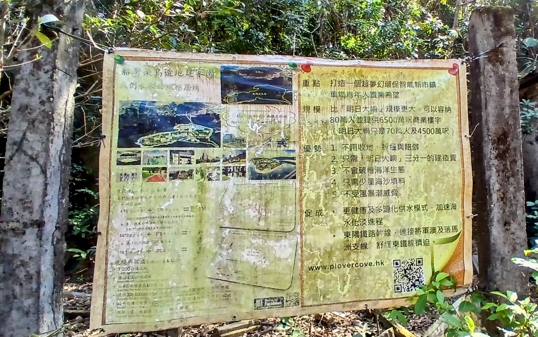20250119_121310~2.jpg