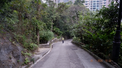 _DSF0127.JPG