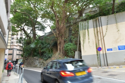 R04_8578.jpg