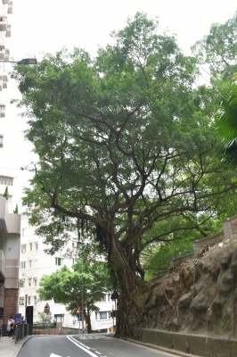 R04_8580.jpg