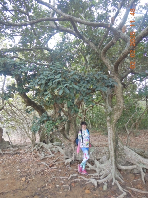 DSCN2070.JPG