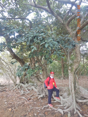 DSCN2072.JPG