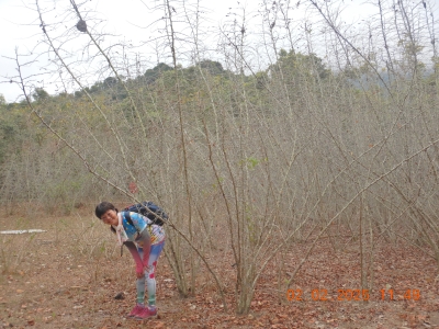 DSCN2074.JPG