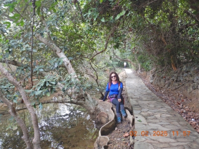 DSCN2085.JPG