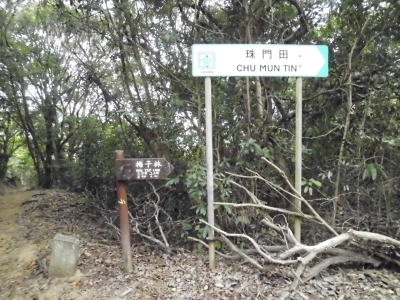 CIMG2445.JPG