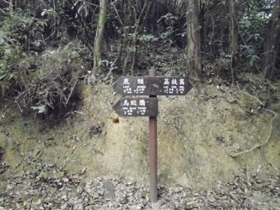 CIMG2446.JPG