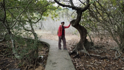 P2020455.JPG