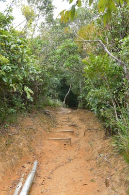 R04_8696.jpg
