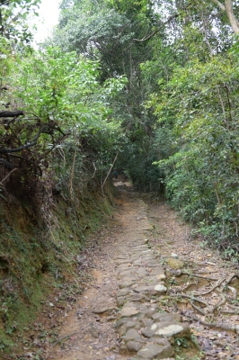 R04_8705.jpg
