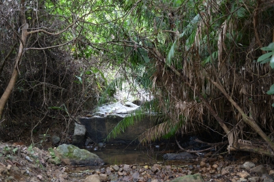 R04_8709.jpg