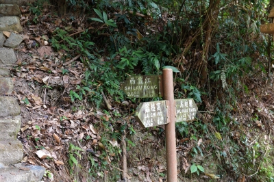 R04_8796.jpg