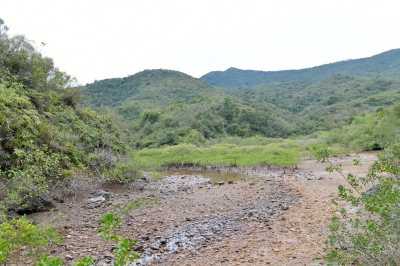 R04_8813.jpg