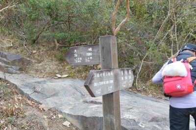 R04_8823.jpg