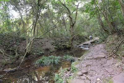 R04_8830.jpg