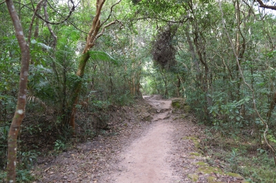 R04_8833.jpg