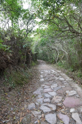 R04_8834.jpg