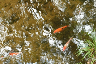 R04_8838.jpg