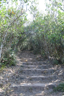 R04_8913.jpg