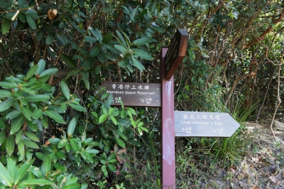 R04_8915.jpg