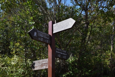 R04_8930.jpg