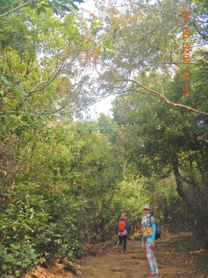 DSCN2278.JPG