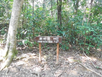 CIMG2625.JPG